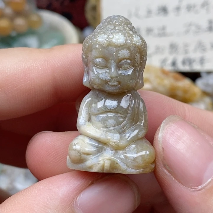 硅化珊瑚（珊瑚玉）未镶嵌颈饰