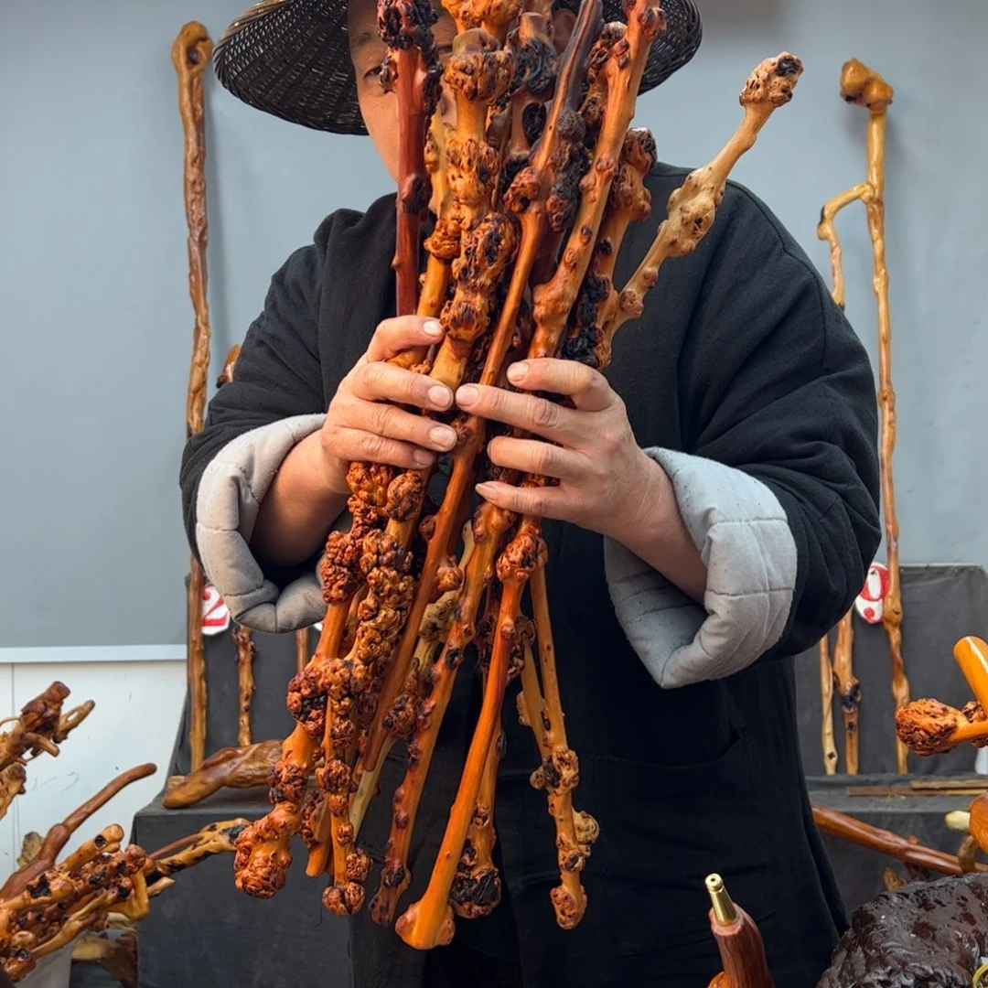 黑果木其他用****5黑果木032