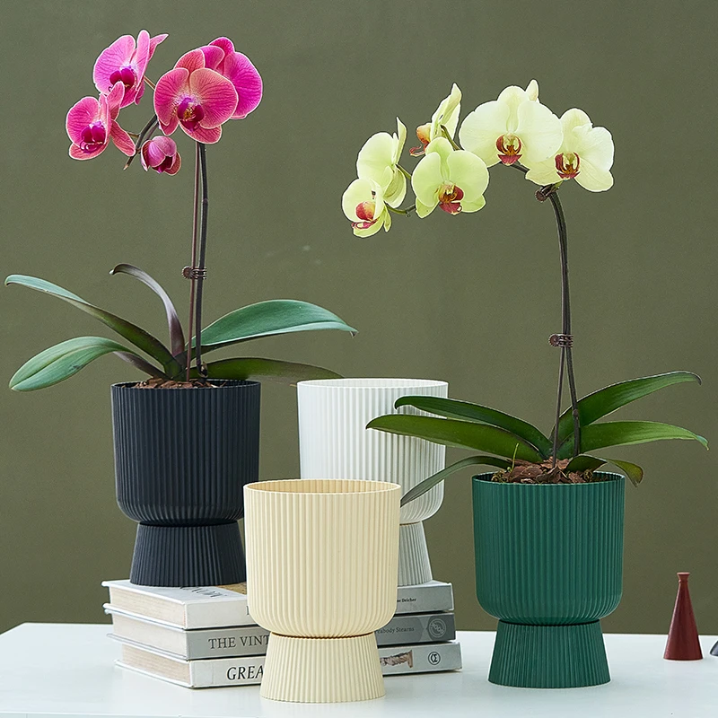 蝴蝶兰专用兰花盆客厅多肉花盆新款多肉树脂花盆室内蝴蝶兰盆加厚