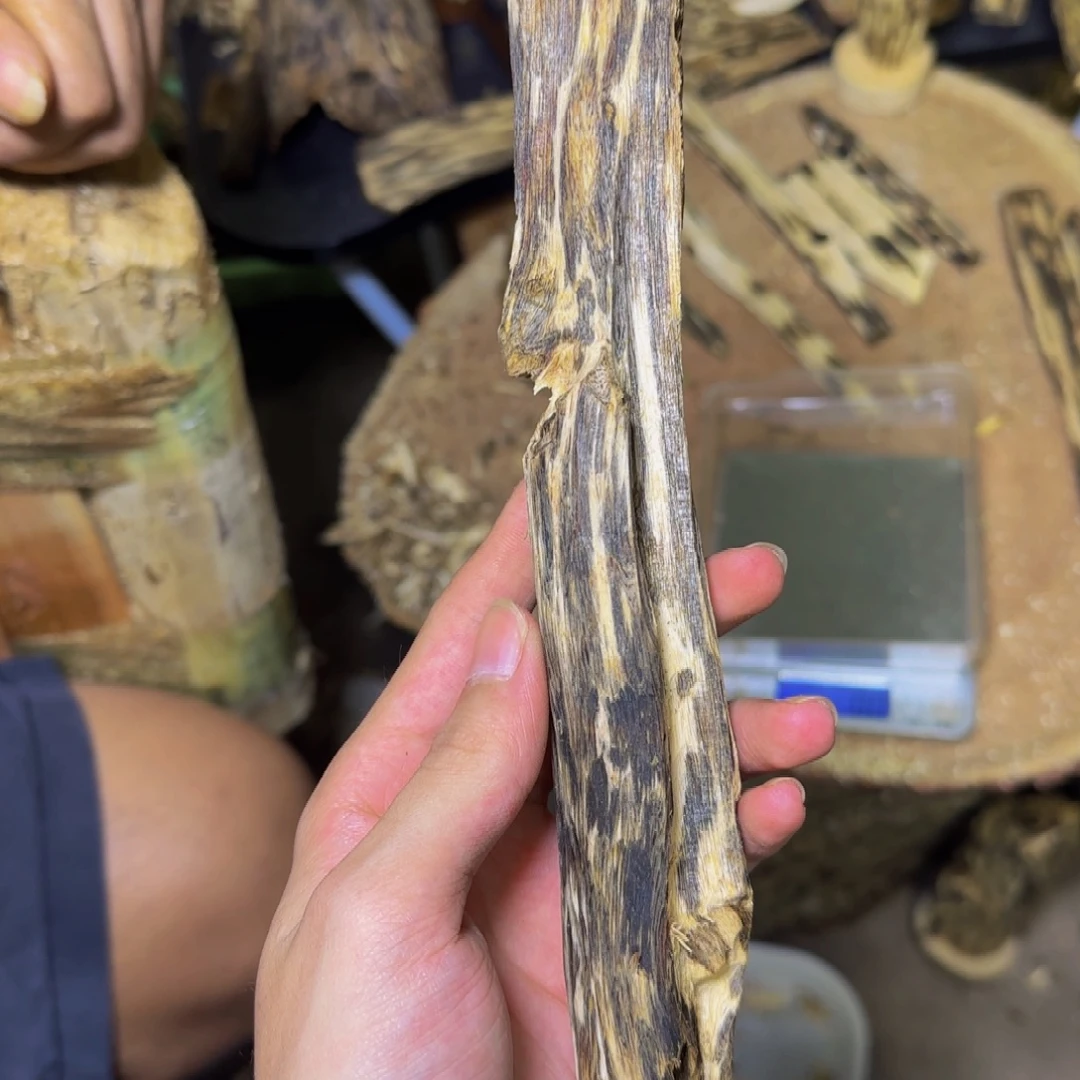 沉香紫奇虫漏发一份