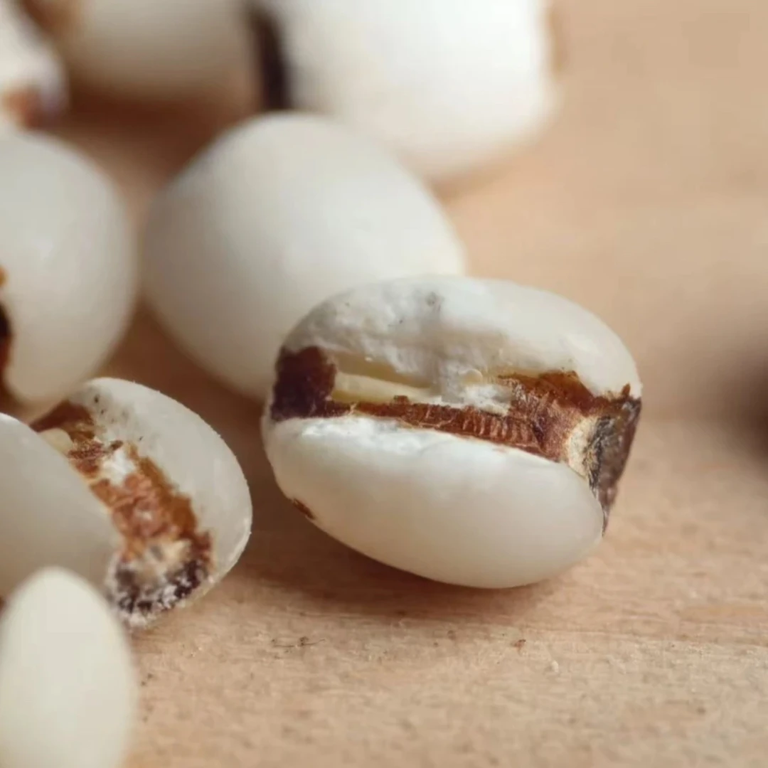 （小杨代收）农家薏仁米