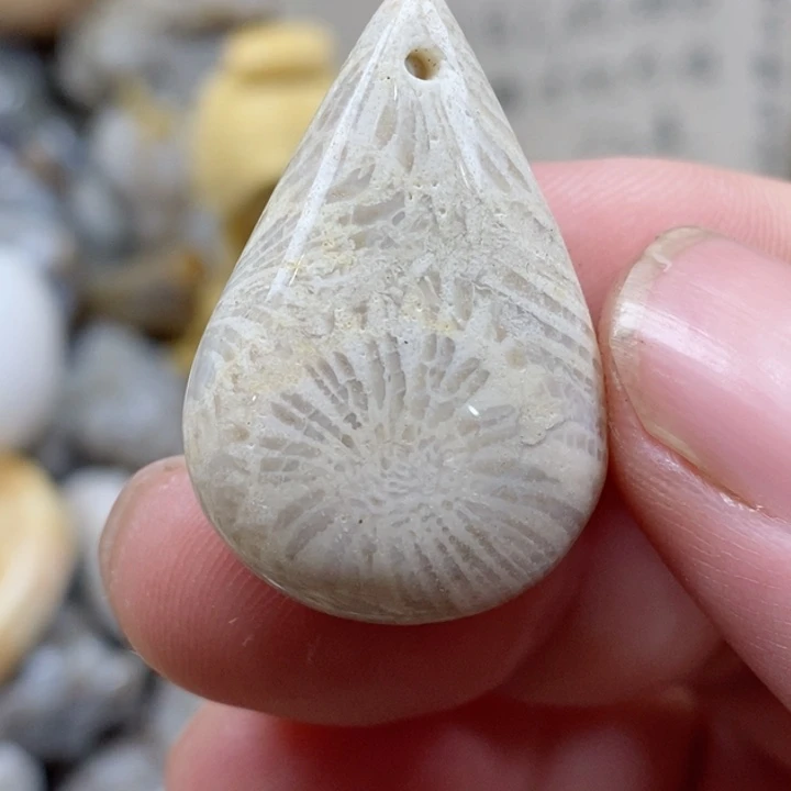 颈饰未镶嵌硅化珊瑚（珊瑚玉）小