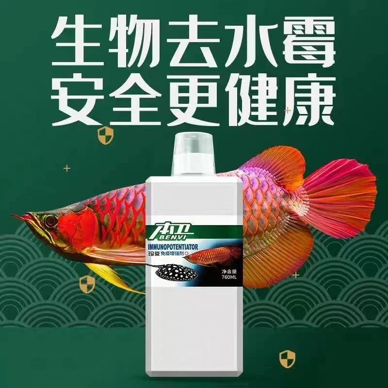 直播款-玛豆本卫水霉病克星鱼缸净化水质