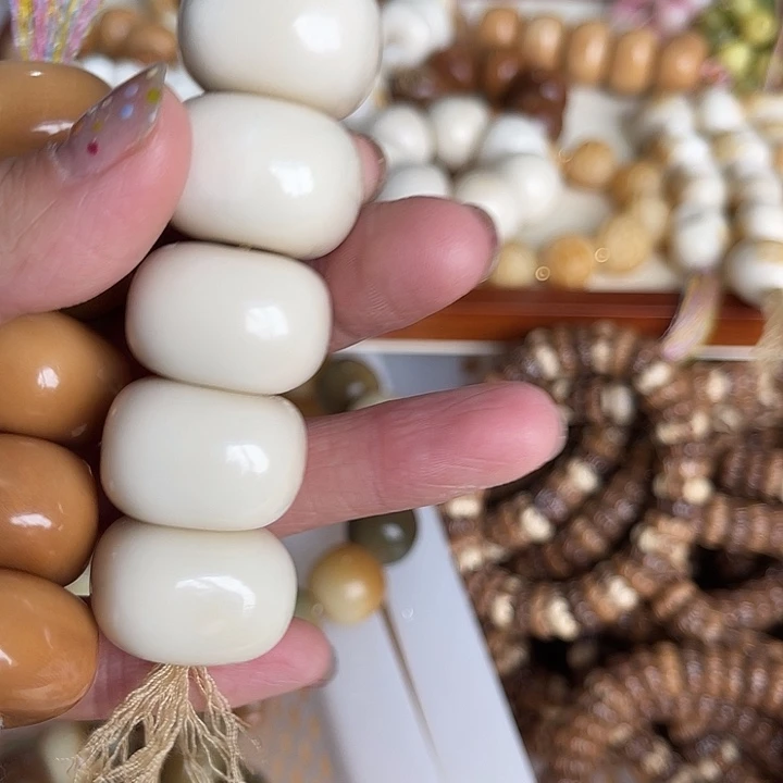 香榧木111111111111111