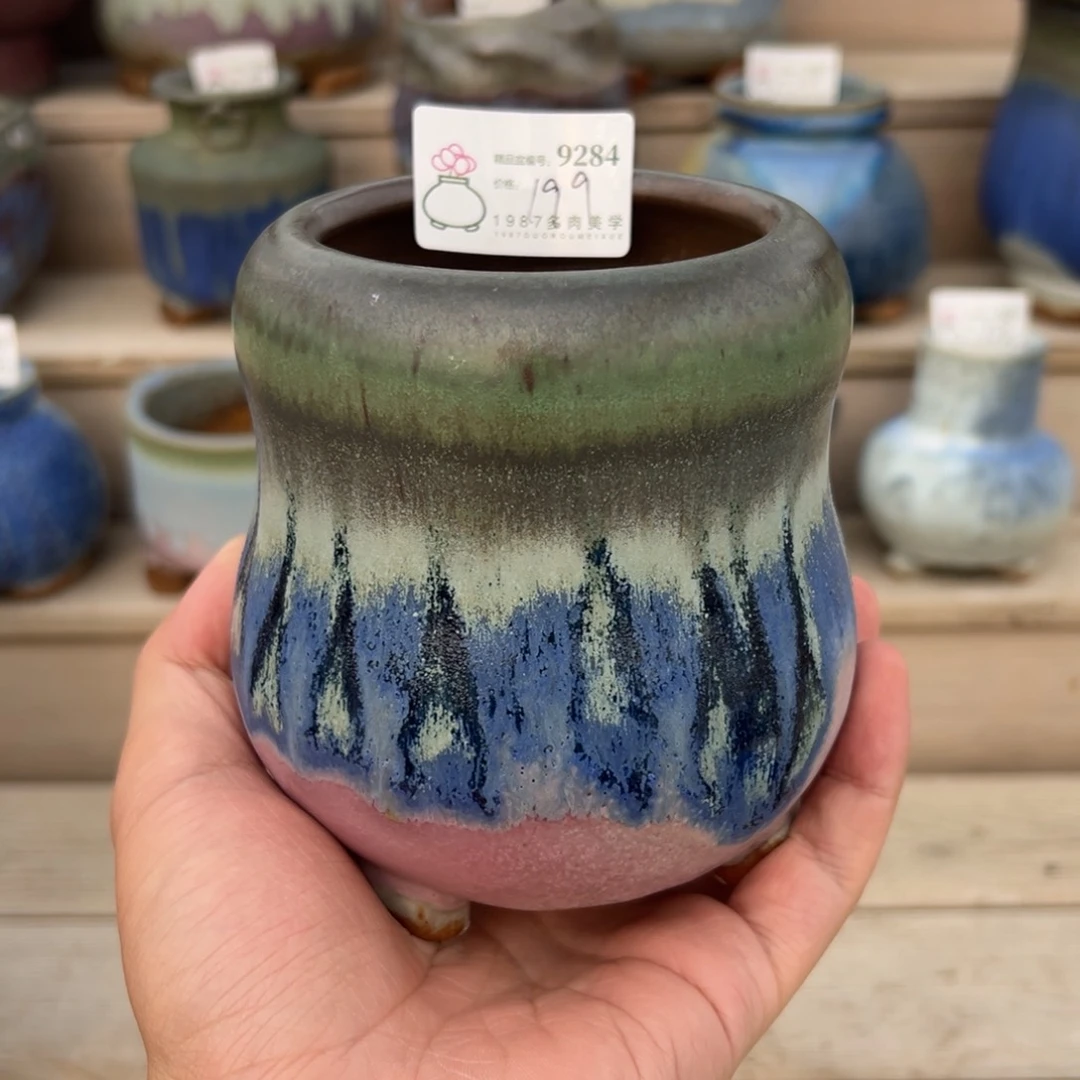 粗砂花盆b****七精品9284➕2支肥