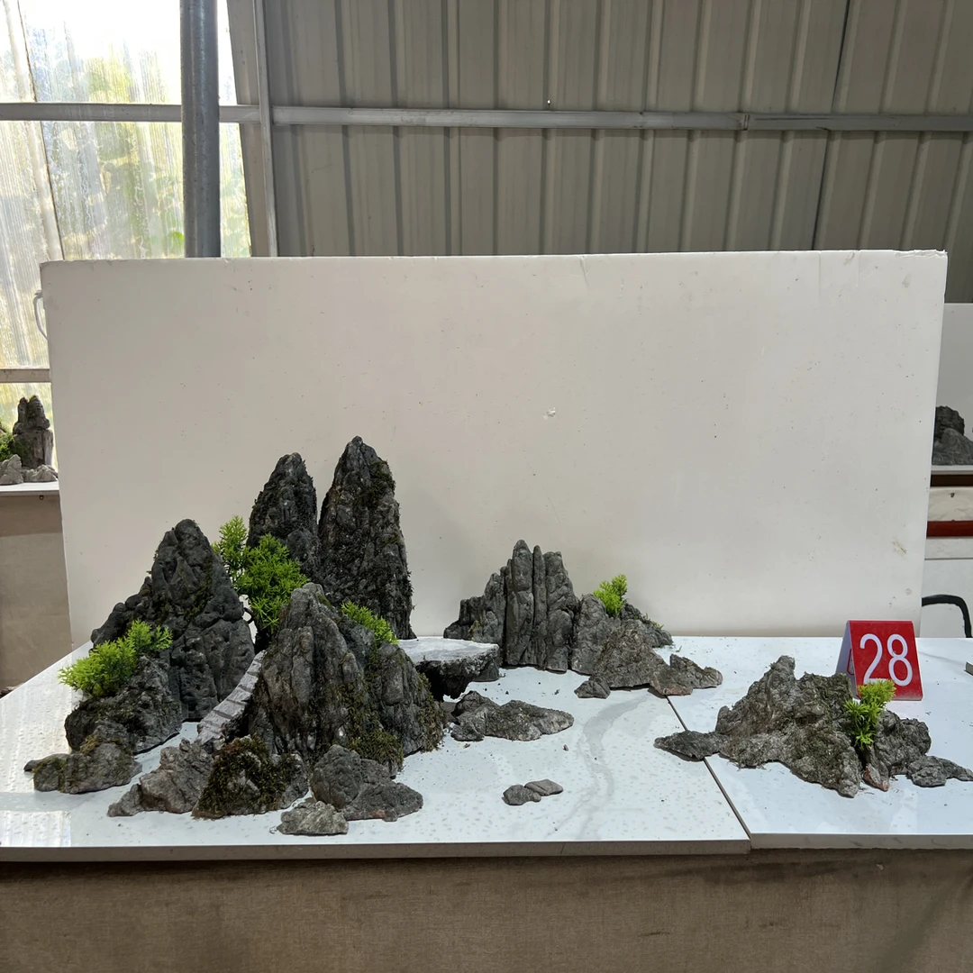 龟纹石山水盆景组合造景石头（散石编号发货）天然