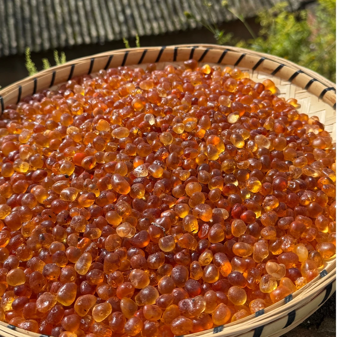 【曹主任】 云贵高原 桃胶