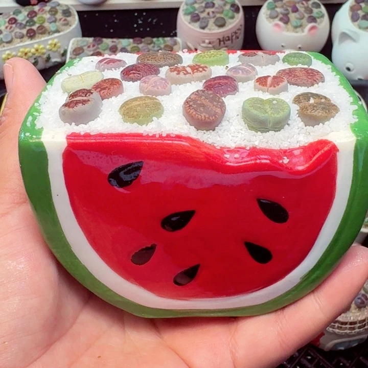 8001零下地区记得拍保温箱