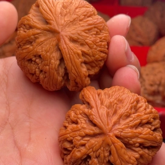 文玩核桃把件秦岭山脉核桃