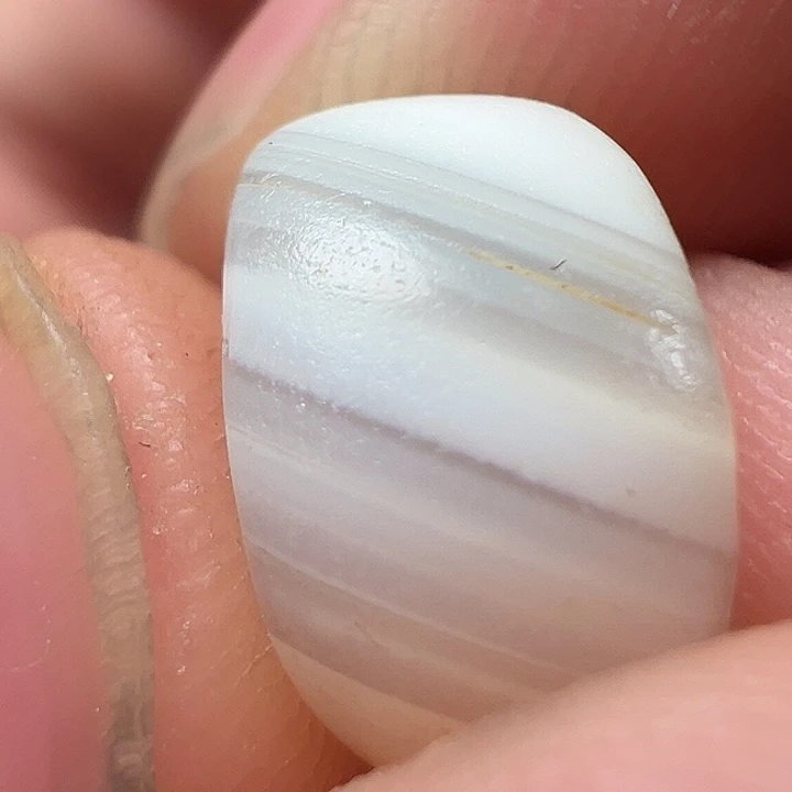 我们都是在这里看到的哈