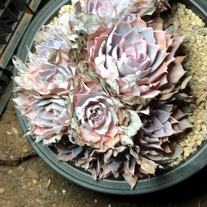 ?***?23///////////////：