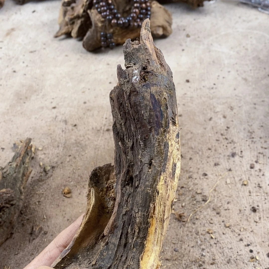 黄花梨/降香黄檀用****6