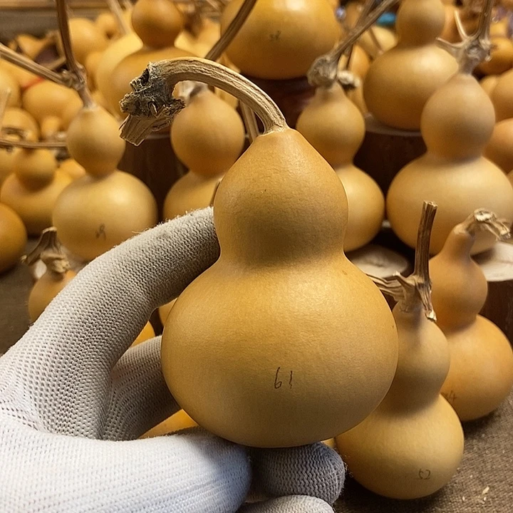 文玩葫芦 完美主义者 慎拍61