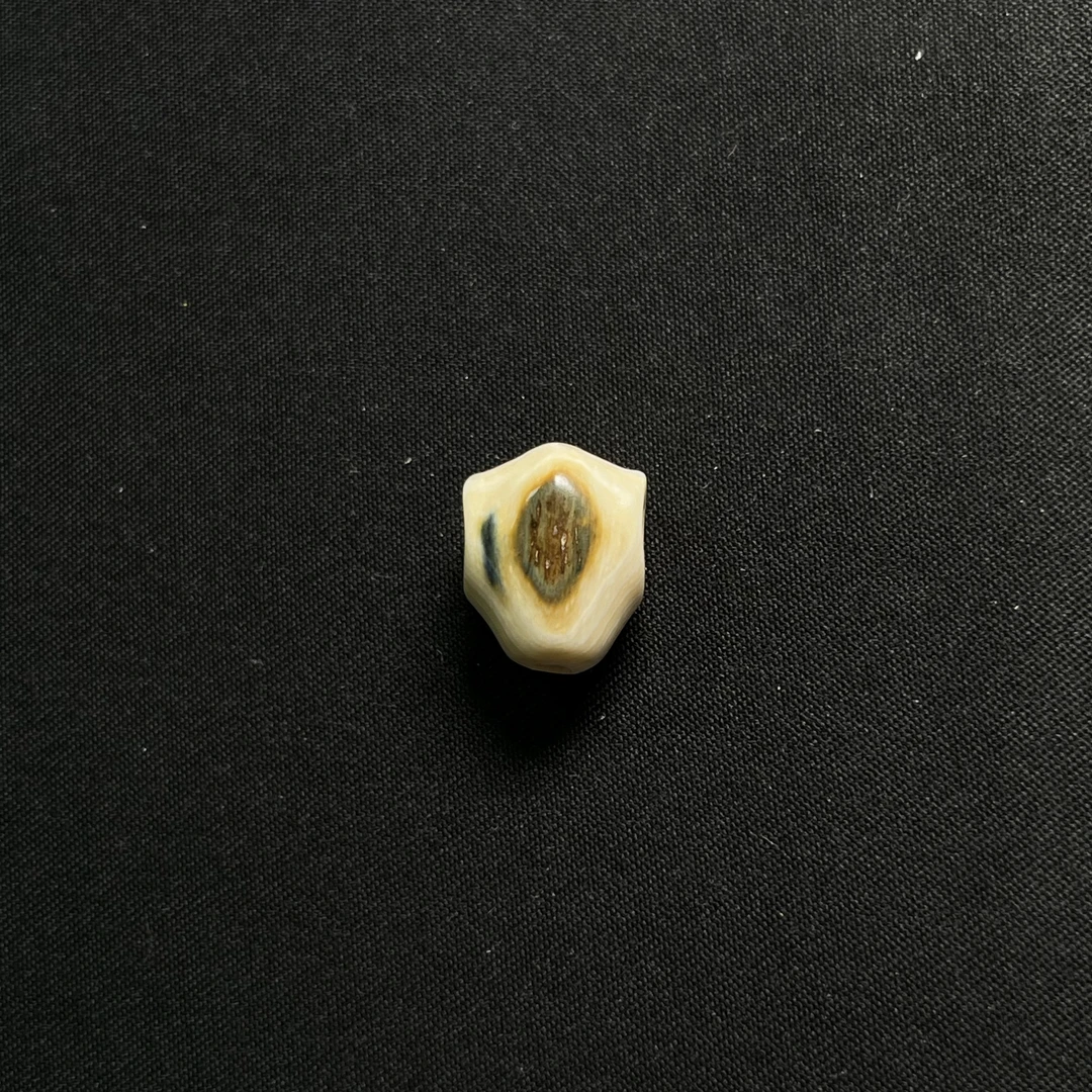 PE40 虎眼鲨鱼背三通 只做天然猛犸牙