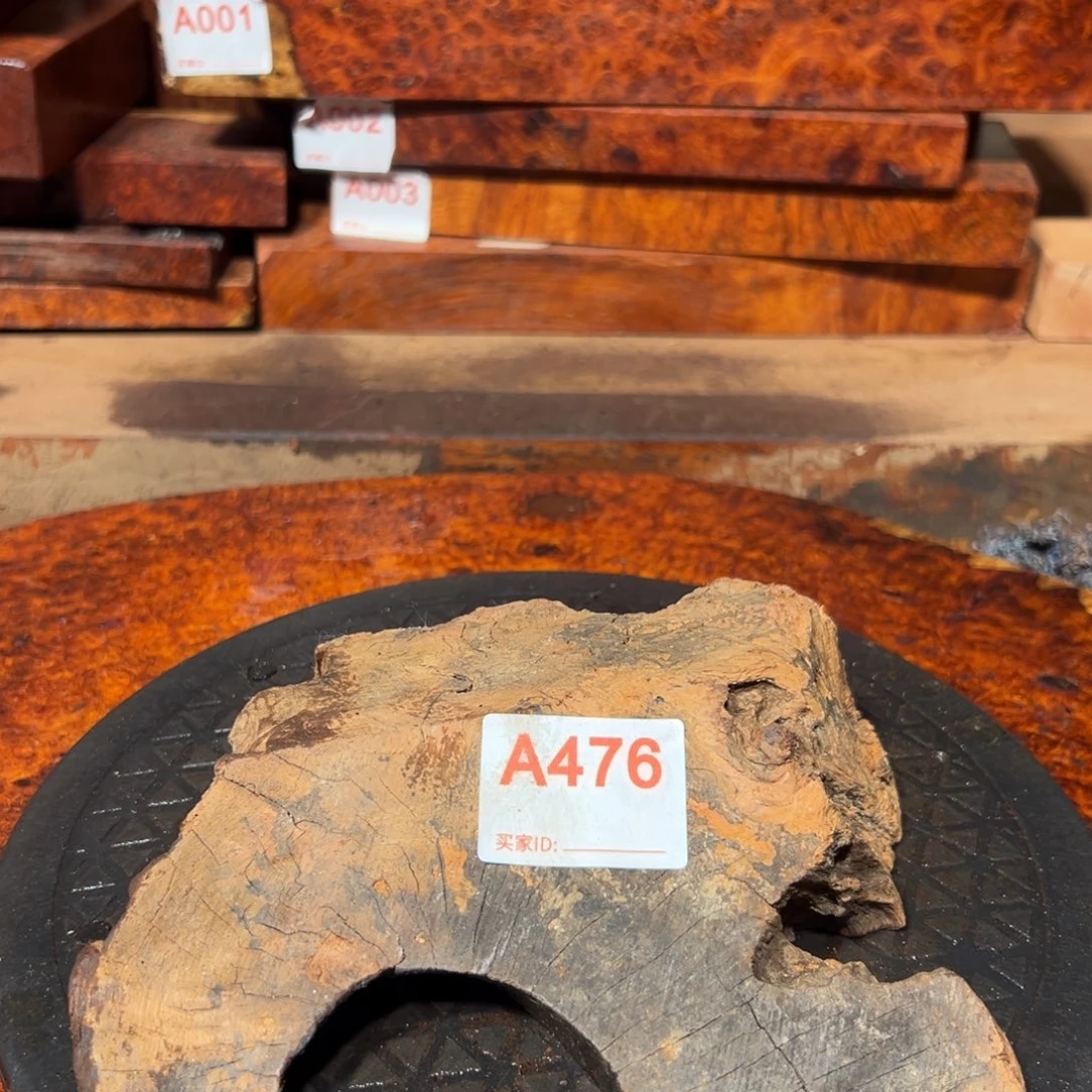 大果紫檀（缅甸花梨）