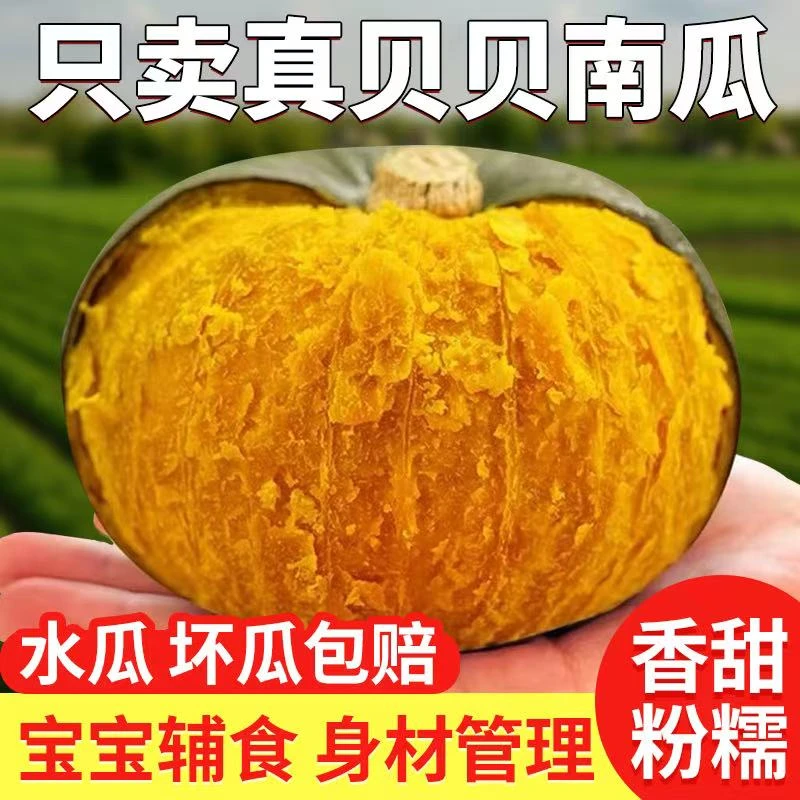 H内蒙古沙地贝贝南瓜粉糯香甜（产地直发）