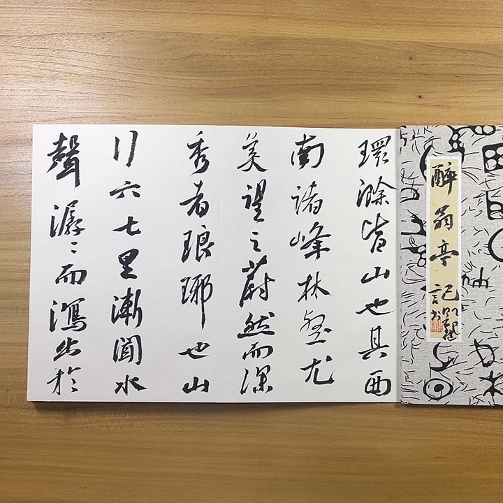 书法中书协会员作品