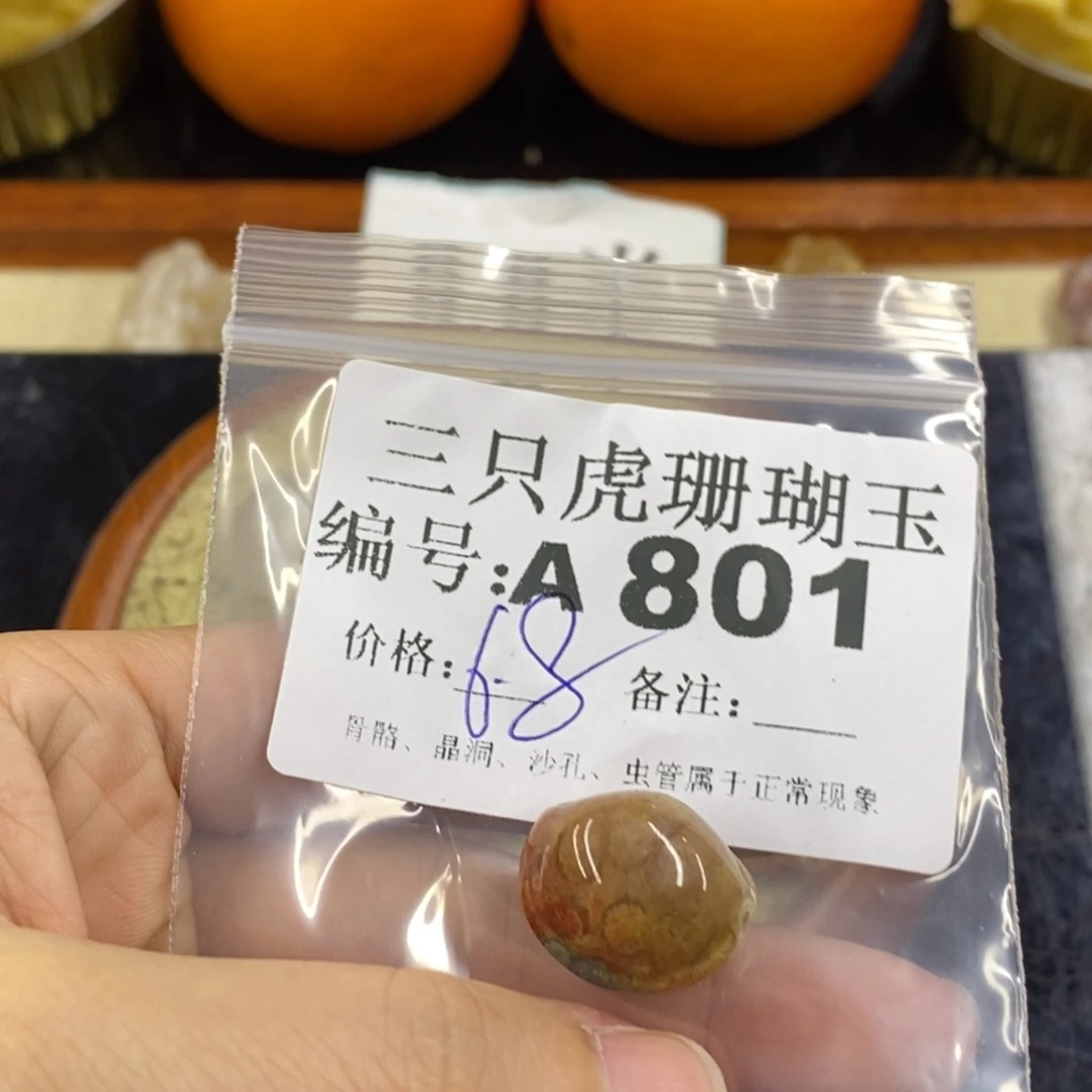 硅化珊瑚（珊瑚玉）1未镶嵌慧****1
