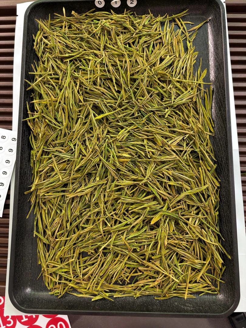 原产地安吉白茶黄金芽新茶a012