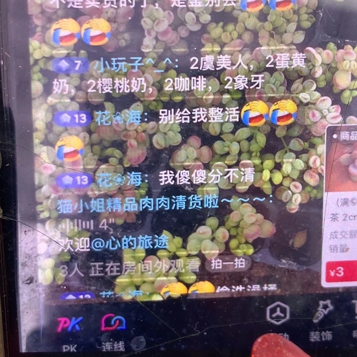 虞美人 蛋黄 樱桃 咖啡 象牙 乘以2