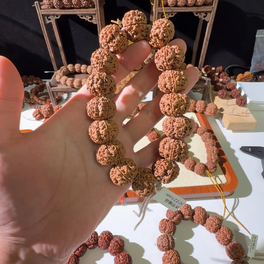 手串金刚菩提21尺寸原生态