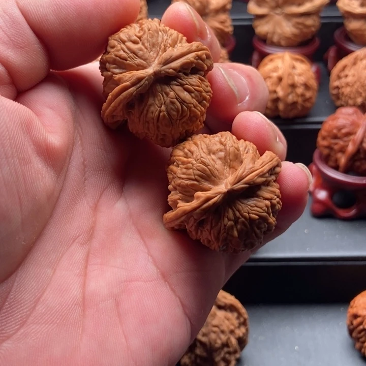 吊坠龙脊菩提小闷白36
