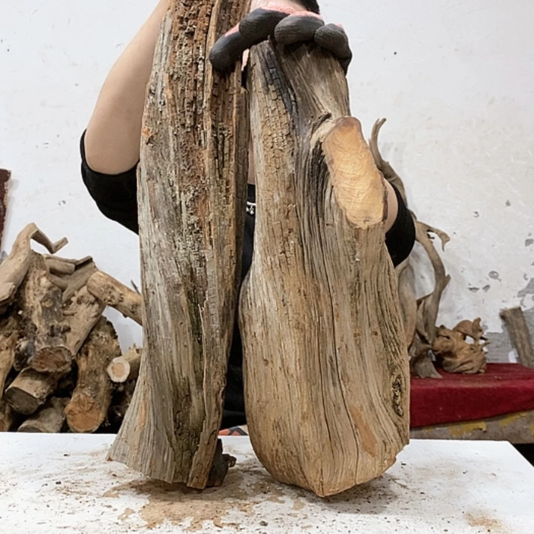 【闪购商品】柏木D*我们都是好孩子