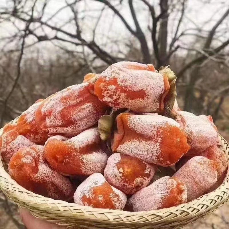 ｛富平曹村，独立包装}24年新货陕西富平流心霜降吊柿饼