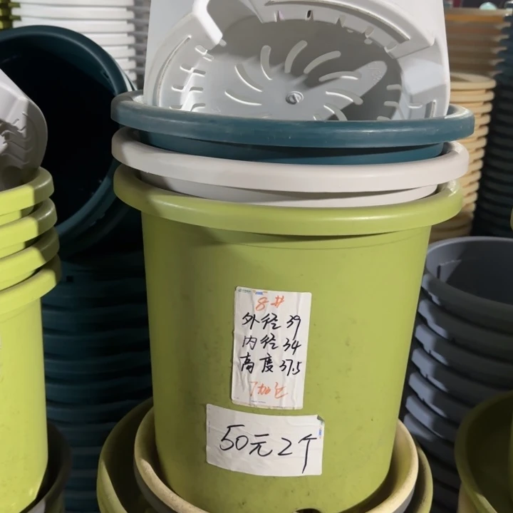 微瑕8#口径39无托果绿3个