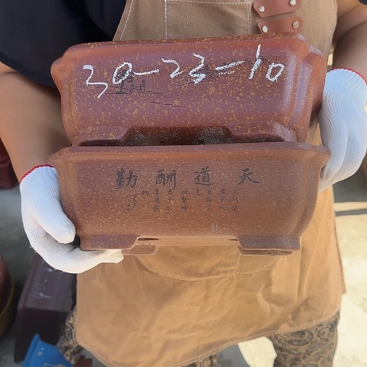 真的想看这篇了哈哈
