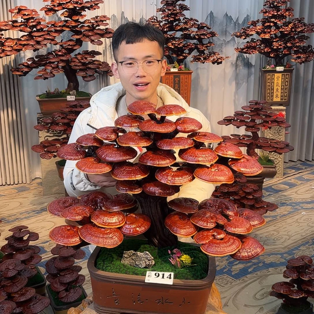 云***珍无花朵88888888888