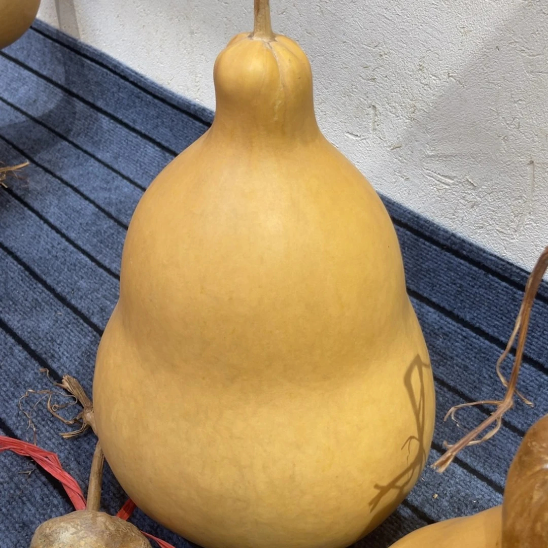 走***5仿木不包邮不保龙头