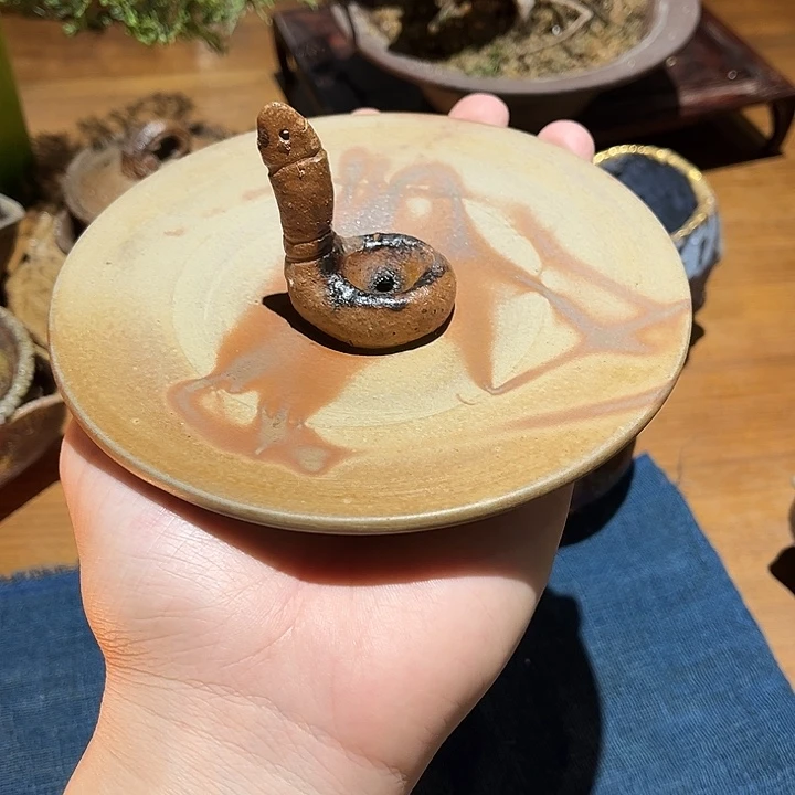 好好卖壶 天天向上