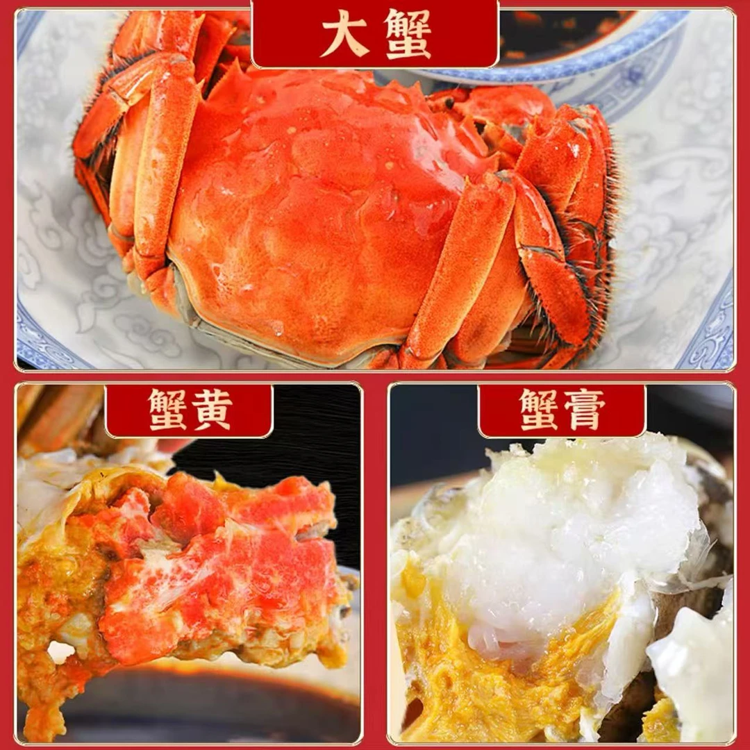 【混合】黄河口大闸蟹 母2.3-2.5两+公3.3-3.5两 6只起活蟹顺丰发货