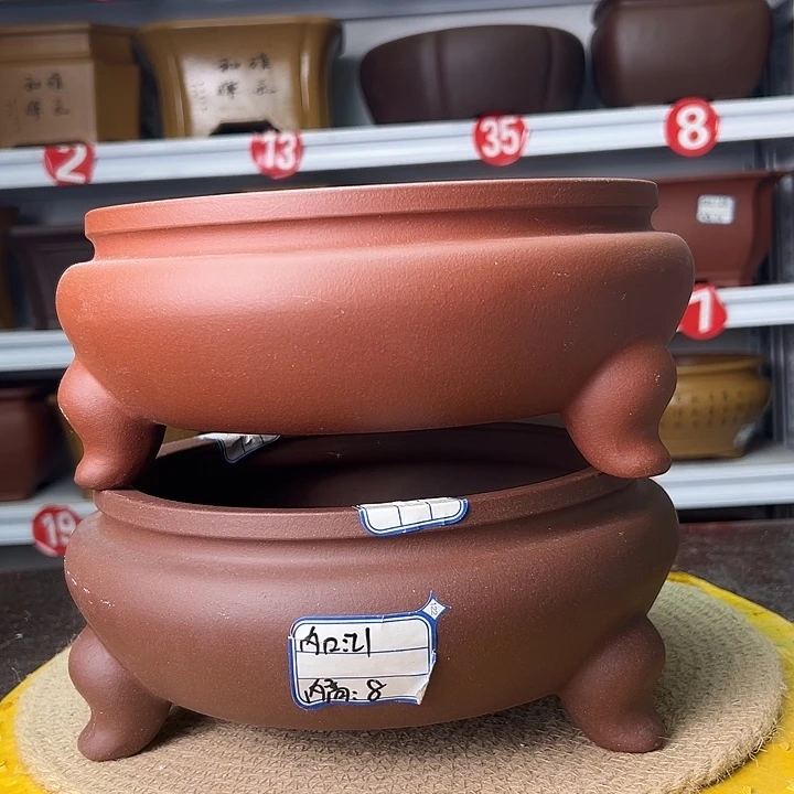 紫砂花盆蛇年大吉