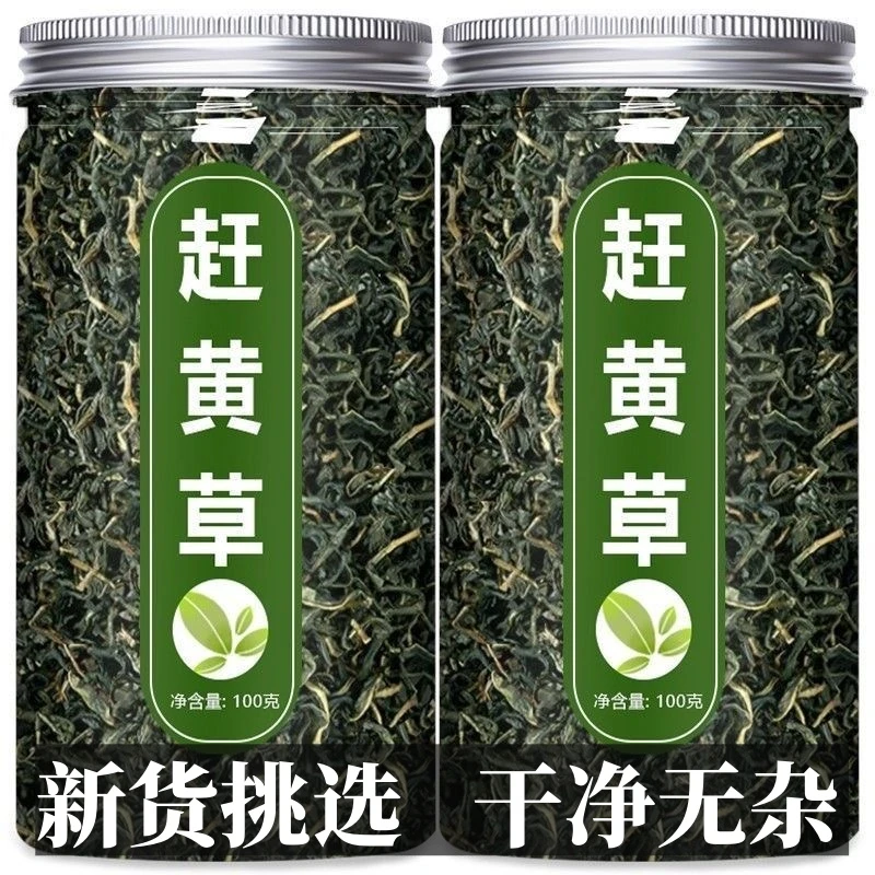 新品赶黄草新货2025嫩芽嫩叶四川赶黄草泡水喝的新鲜赶黄草瓶装