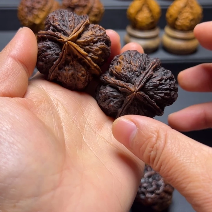 文玩核桃把件L龟甲纹43