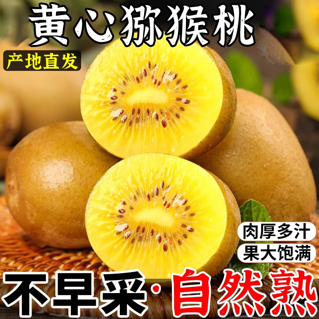 正宗黄心猕猴桃特大果新鲜包邮黄金金果奇异果弥猴桃孕妇应季水果