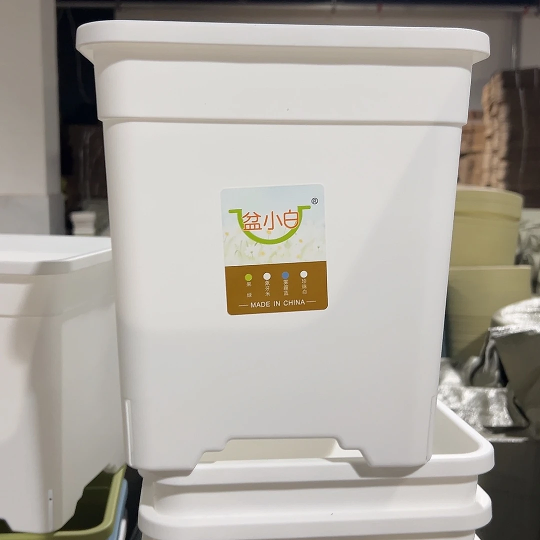 树脂方3号4个无托