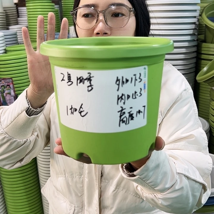 特价2号四季口17高14果绿色10个无托