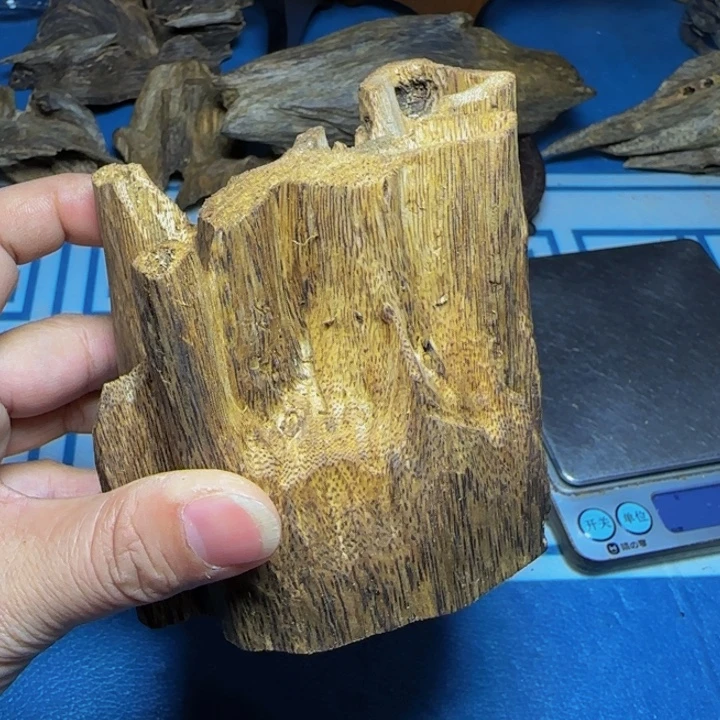 木质绿奇陆河虫漏106克