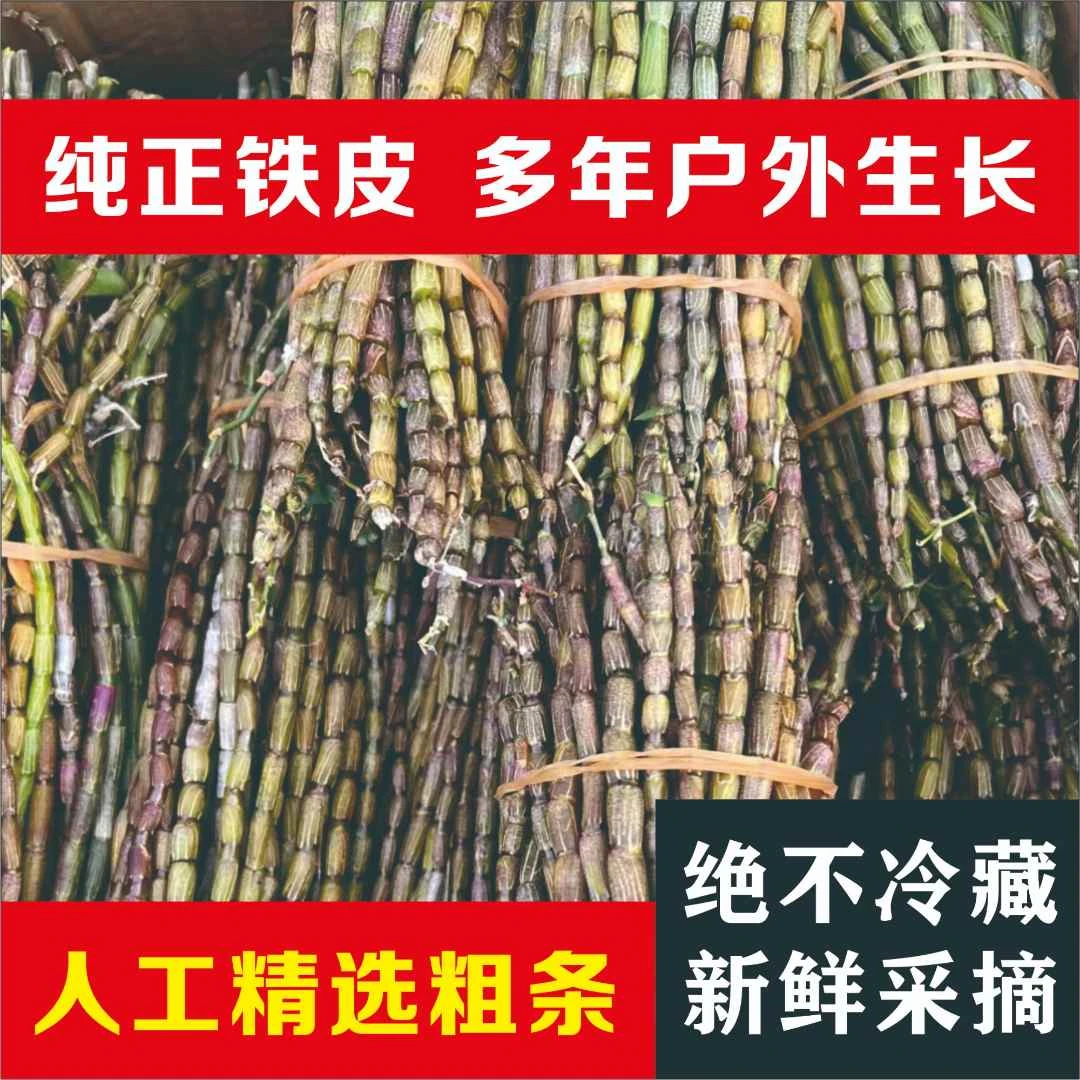 正宗云南高山铁皮石斛鲜条煲汤榨汁煮水（西双版纳产地直发