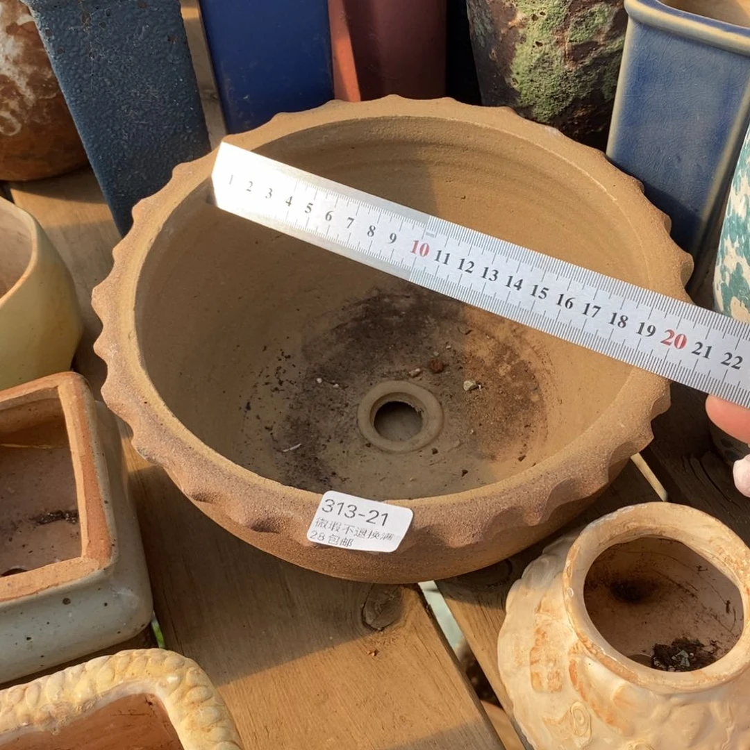 玄*21号多肉盆一个呀