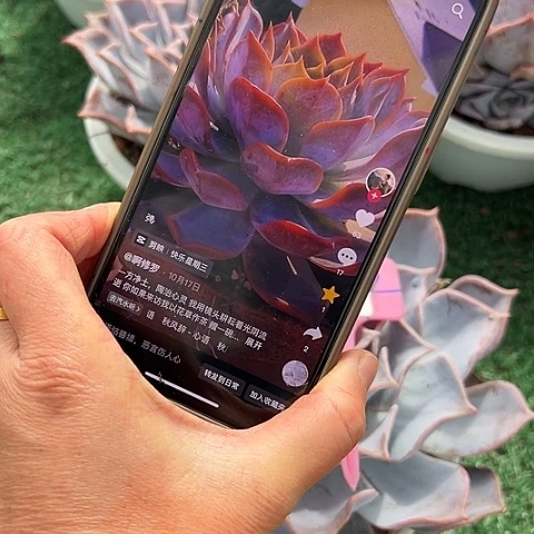 17路西娜一个脱土