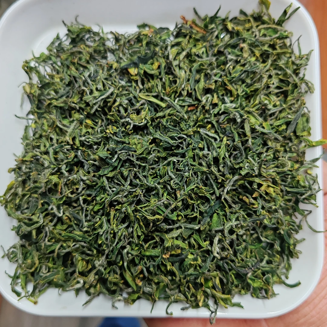 日照绿茶春茶头采鲜嫩回甘豌豆香早春茶