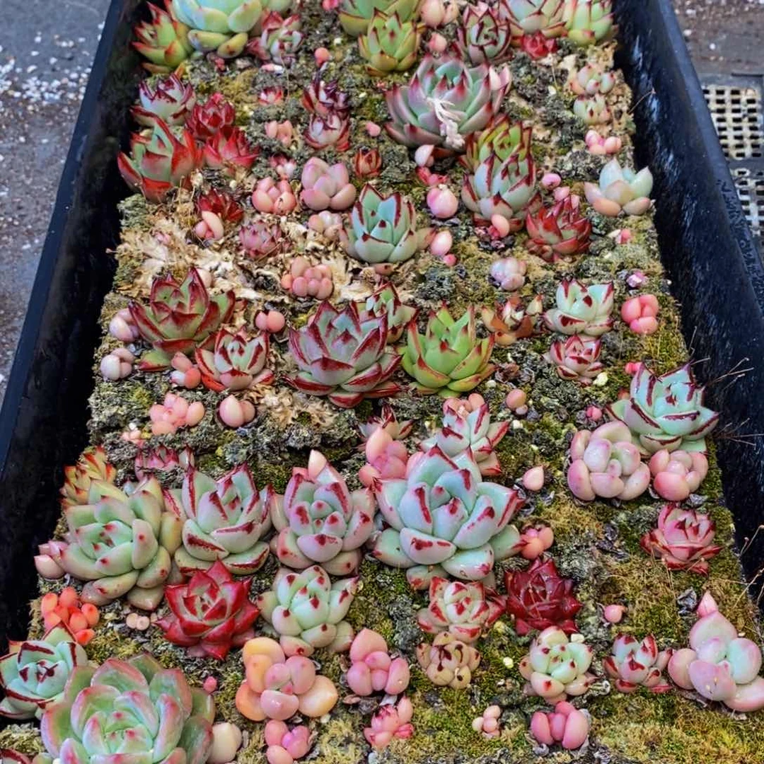 九***671大任务完成任务的完成