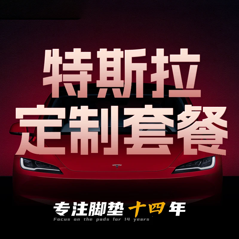 适用定制特斯拉脚垫套餐