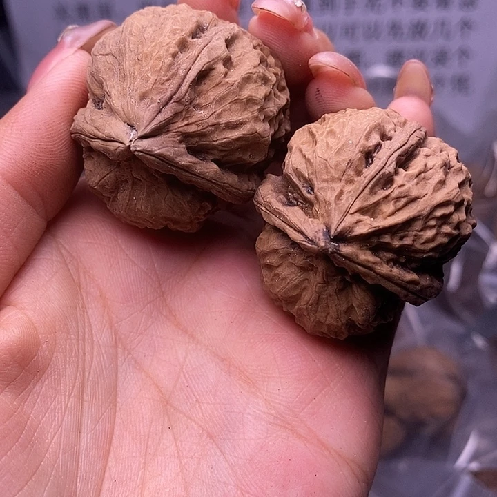 核桃云南野生铁核桃55号37mm