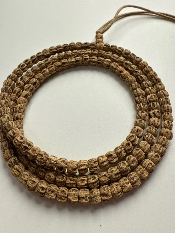 热振一哥《打蛇》定制级百香籽