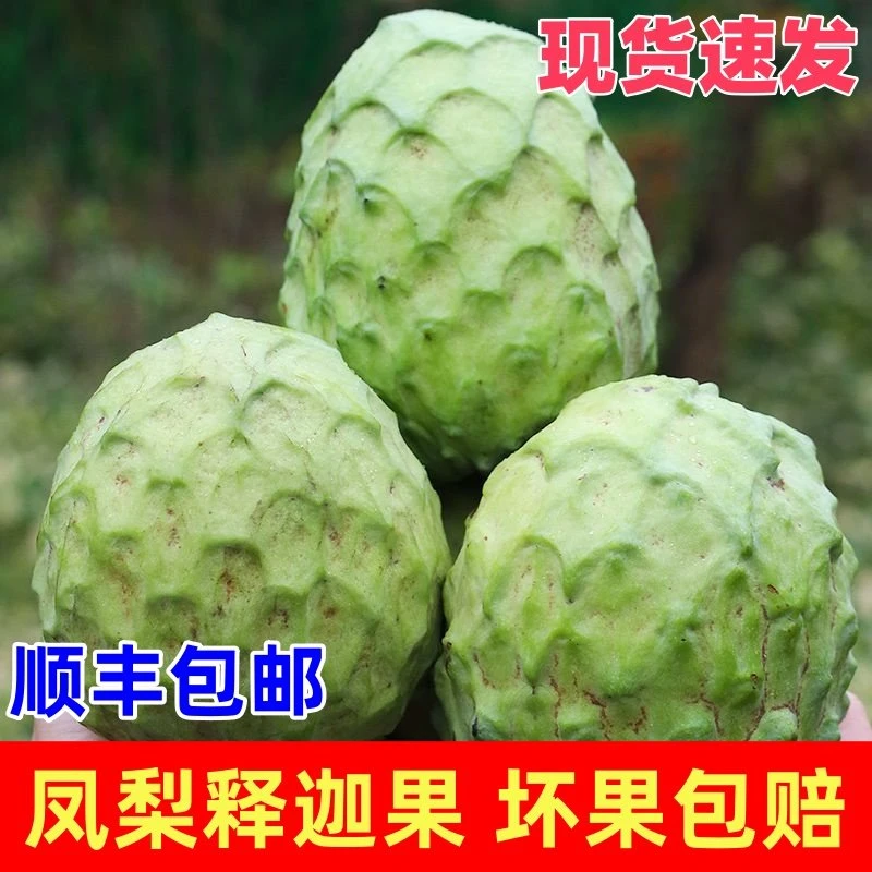 C3云南新鲜高山牛奶凤梨释迦果番荔枝当季采摘热带孕妇水果香甜